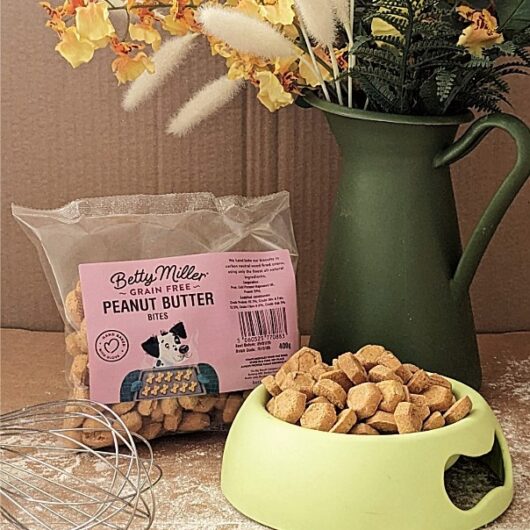 Betty Millers Grain Free Peanut Butter Bites for Dogs 400g