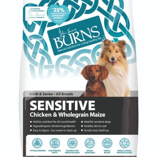 Burns Original Chicken & Brown Rice Adult & Senior Dry Dog Food, 6KG