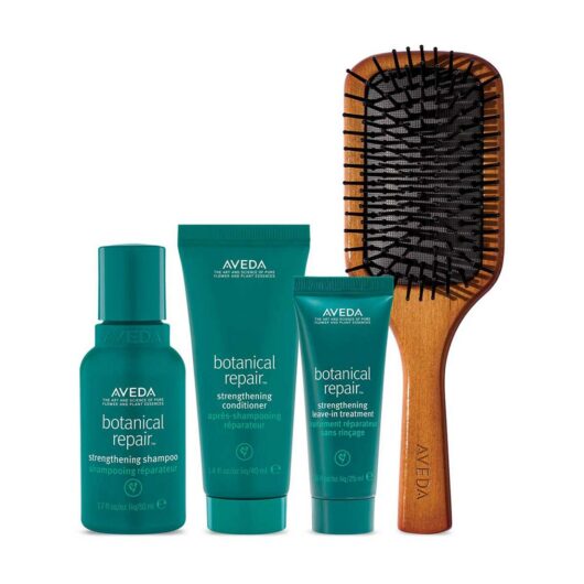 AVEDA Hair Repair Travel Essentials Set For Damaged - Exclusive To Boots