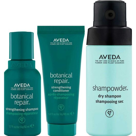 AVEDA Limited Edition Hair Repair & Refresh Trio